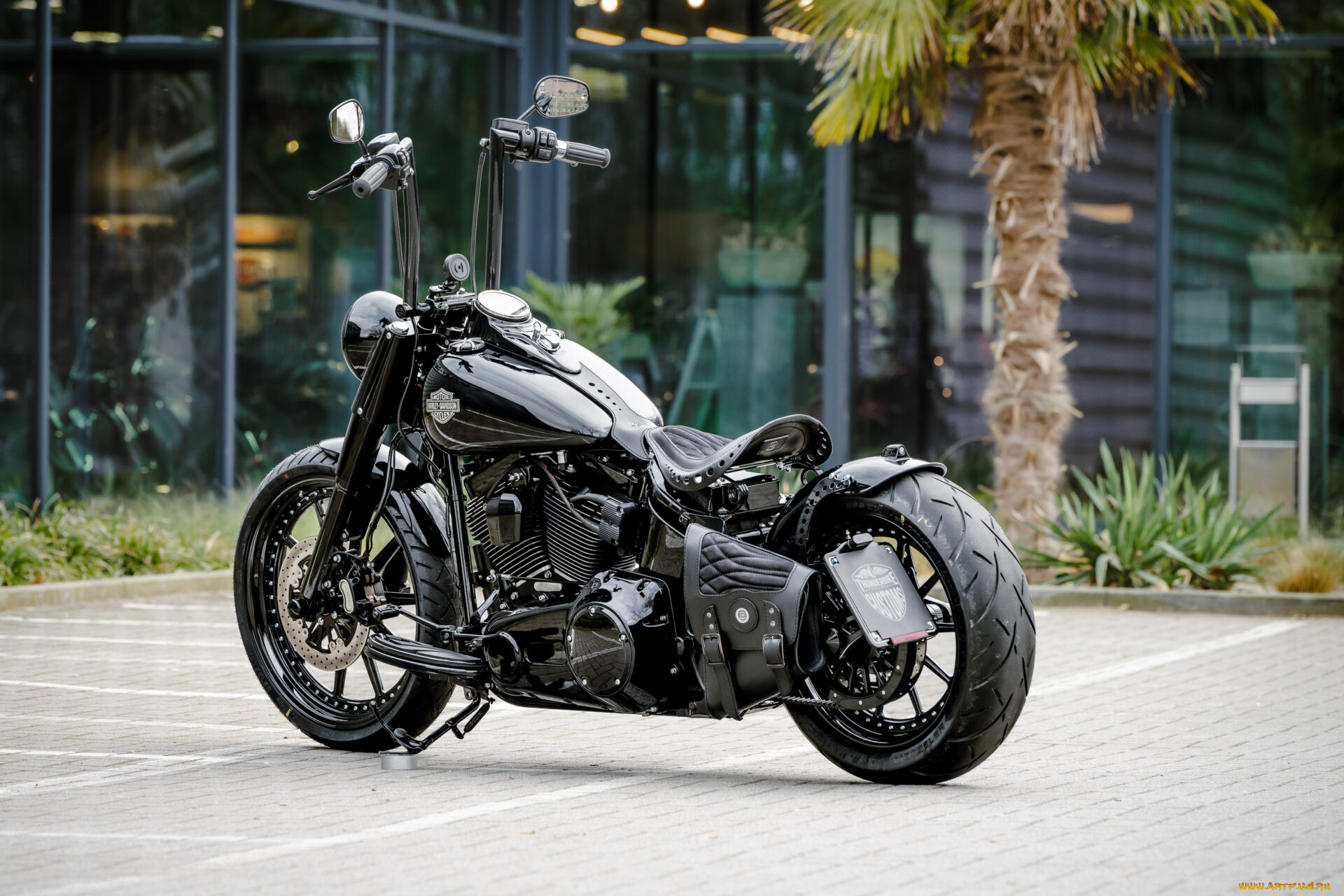 , harley-davidson, softail, slim, s, dark, hopper, customized, custombikes